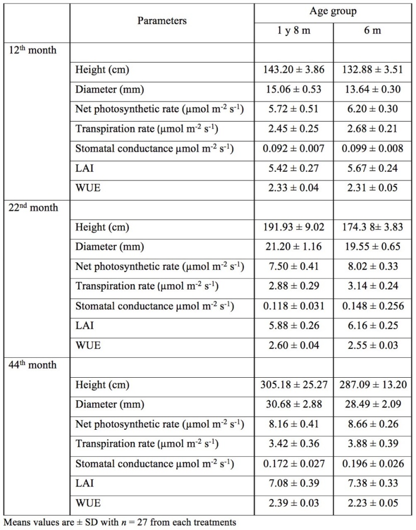 Growth And Physiological Assessment Of Chengal Seedlings