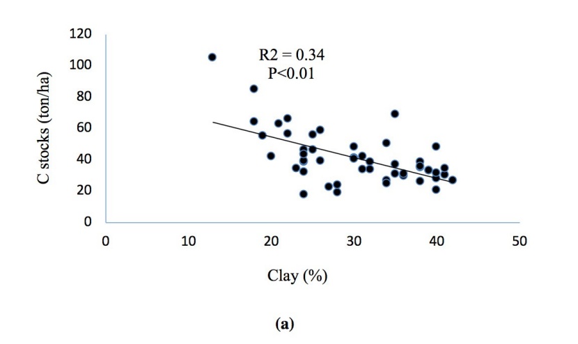 Tree Species Effects On Albedo Soil Carbon And Nitrogen Stocks In
