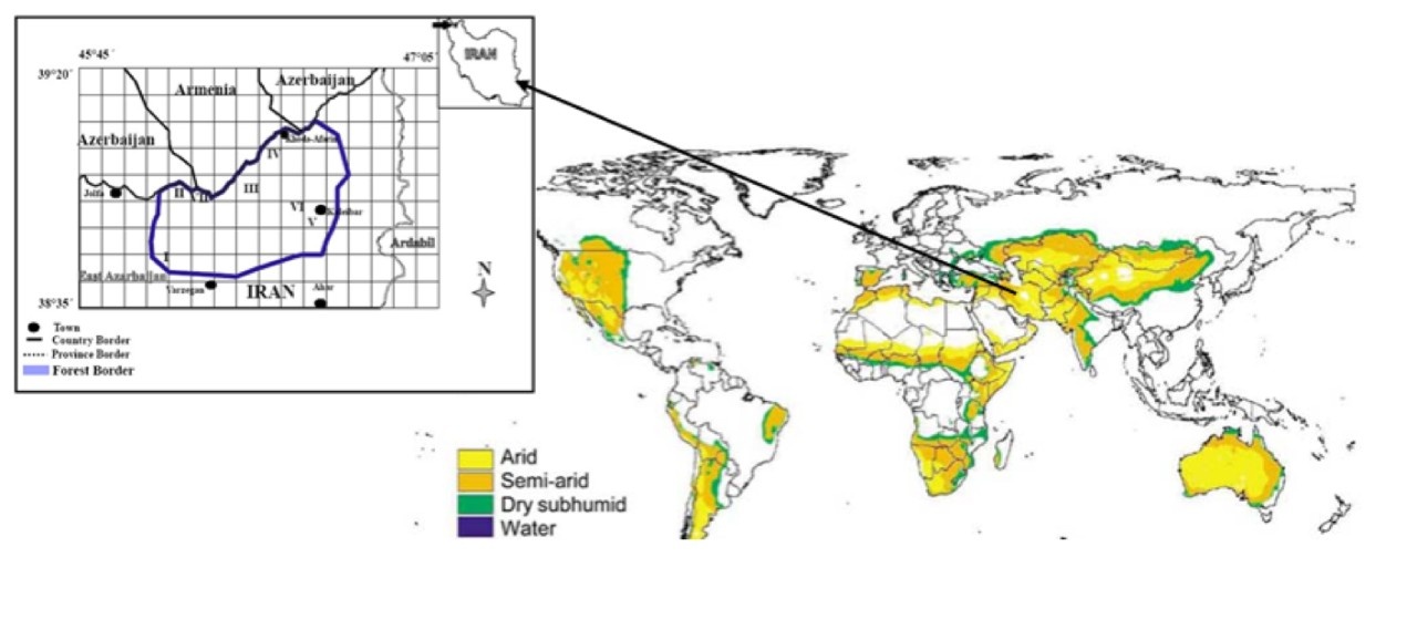 Ecosystem-based Adaptation (EbA) strategies for reducing climate change ...